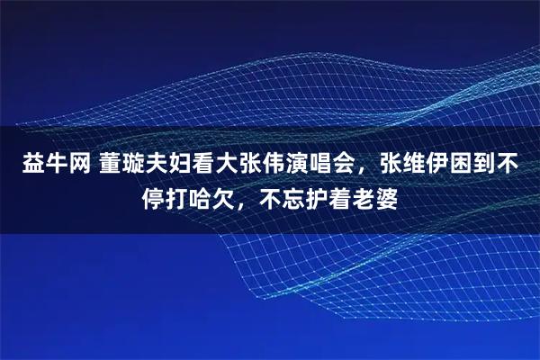 益牛网 董璇夫妇看大张伟演唱会，张维伊困到不停打哈欠，不忘护着老婆