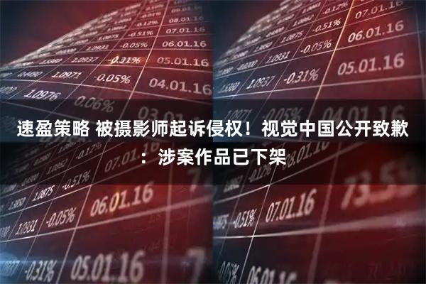 速盈策略 被摄影师起诉侵权！视觉中国公开致歉：涉案作品已下架