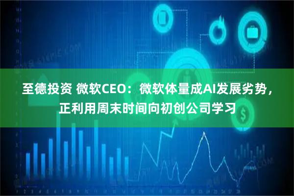 至德投资 微软CEO：微软体量成AI发展劣势，正利用周末时间向初创公司学习