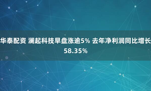 华泰配资 澜起科技早盘涨逾5% 去年净利润同比增长58.35%