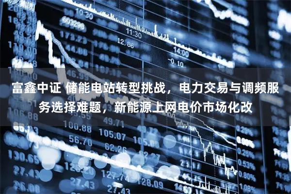 富鑫中证 储能电站转型挑战，电力交易与调频服务选择难题，新能源上网电价市场化改