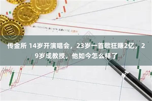 传金所 14岁开演唱会，23岁一首歌狂赚2亿，29岁成教授，他如今怎么样了